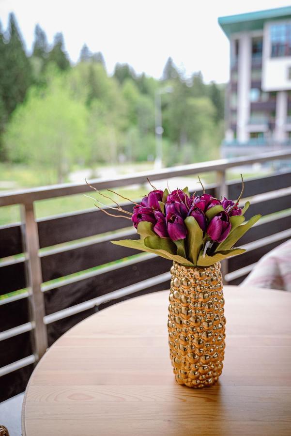 Silver Mountain Resort & Spa Poiana Brasov Ngoại thất bức ảnh